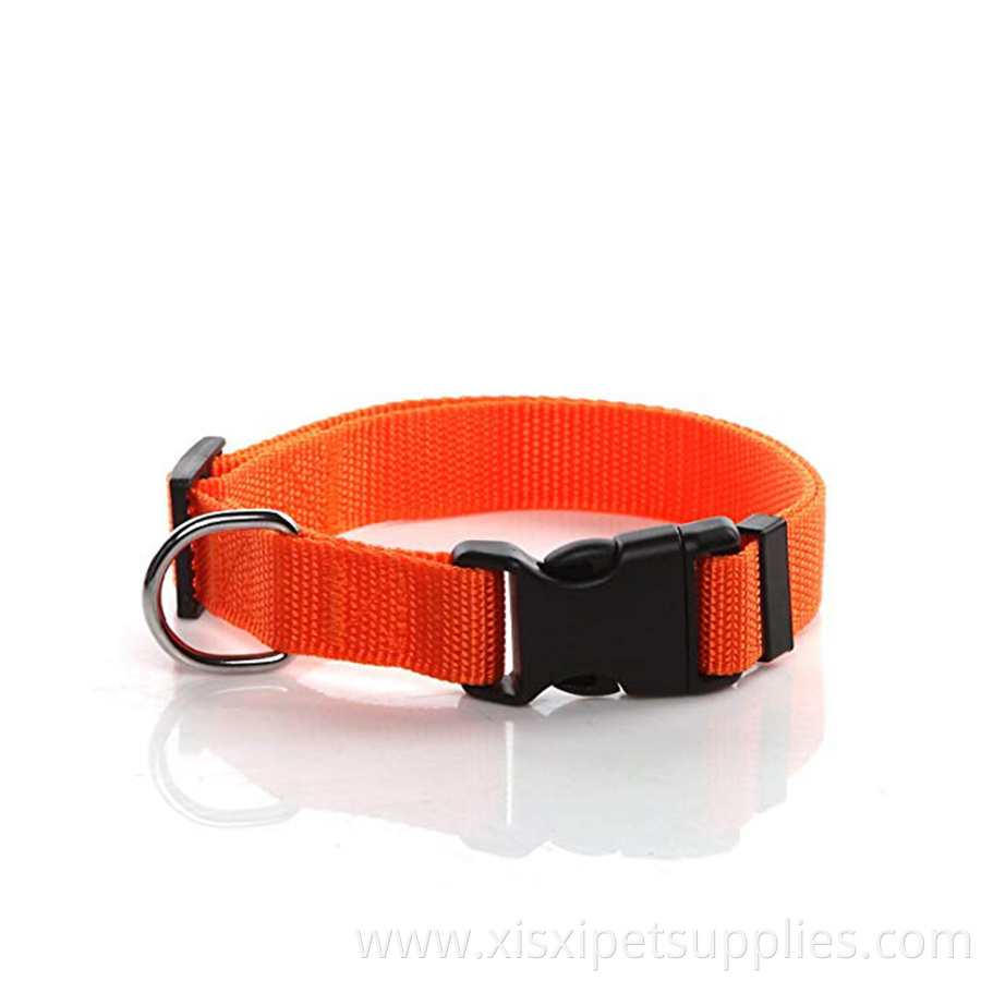 customize 1 inch wide Durable Adjustable Nylon Dog Collar for small medium large dogs